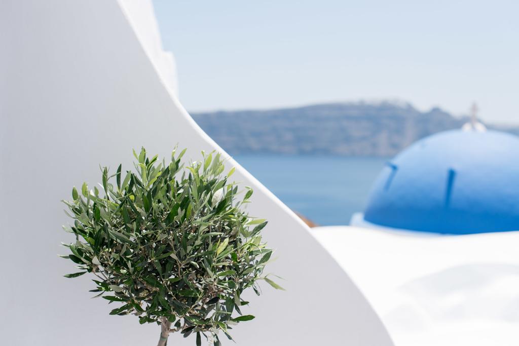 Evmenia Luxury Cave Villa Oía Exteriér fotografie